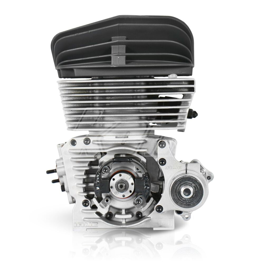 MOTEUR IAME KA100 COMPLET