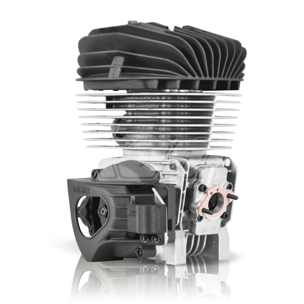 MOTEUR IAME KA100 COMPLET