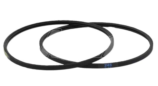 COURROIE DE POMPE A EAU NEW LINE TURBO (1 UNITE)