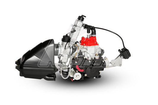 MOTEUR ROTAX JUNIOR EVO